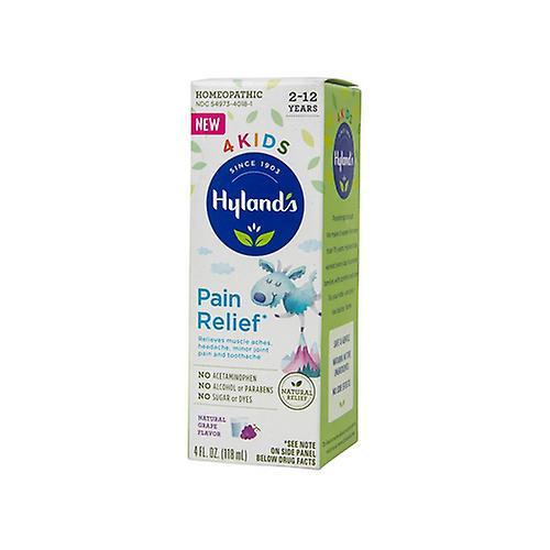 Hyland's Hylands 4Kids Pain Relief Grape, 4 Oz (Pack of 1) on Productcaster.