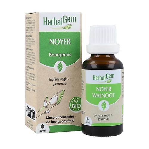 Herbalgem Organický orech lesný (Juglans regia L. gemmae) 30 ml on Productcaster.