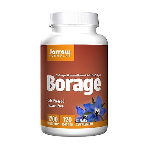 Jarrow Formulas Borage Gla-240 120 softgels on Productcaster.