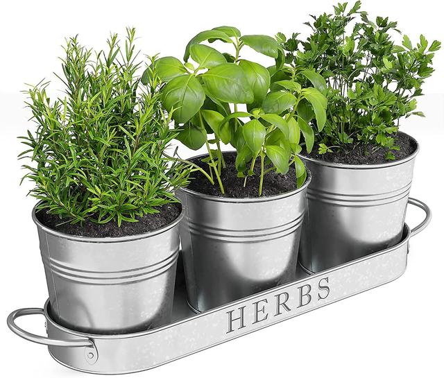 Hgbd-barnyard Designs Farmhouse Herb Garden Planter Indoor Planter Set With Tray Or Outdoor Apartment Window Planter Box, Windowsill Planter Box, Indo on Productcaster.