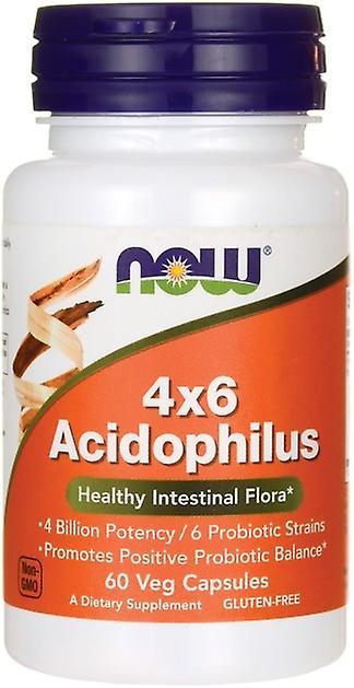 Now Foods Acidophilus 4X6 60 Capsules on Productcaster.