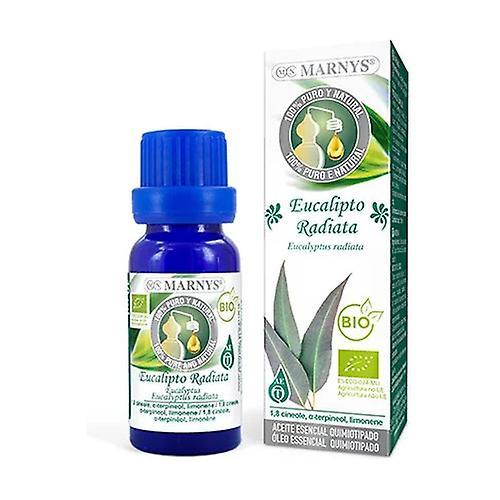 Marny's Eucalyptus Radiata Essential Oil 10 ml of essential oil (Eucalyptus) on Productcaster.