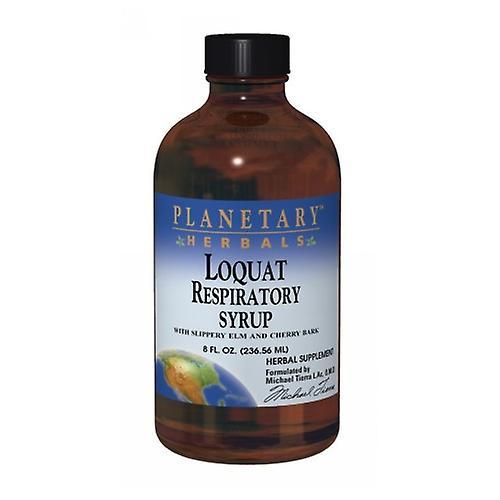 Planetary Herbals Loquat Respiratory Syrup, 8 fl oz (Pack of 3) on Productcaster.