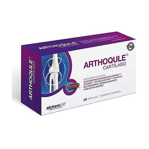 Alchem Life arthoqule cartilage 60 capsules on Productcaster.