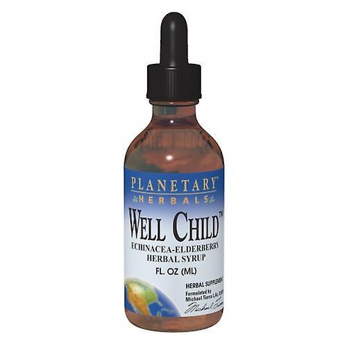 Planetary Herbals Well Child Echinacea-Elderberry Syrup, 2 Fl Oz (Pack of 2) on Productcaster.