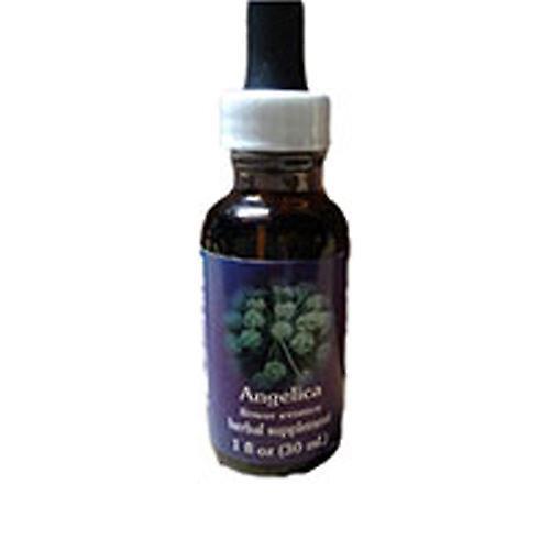 Flower Essence Services Angelica Dropper, 1 ounce (Pakke med 1) on Productcaster.