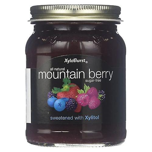 Xyloburst Mountainberry Jam Cukor bez cukru, 10 Oz (balenie po 1) on Productcaster.