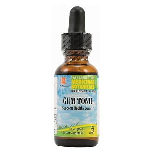 LA Naturals L. A . Naturals Gum Tonic, 1 Oz (balenie po 1) on Productcaster.