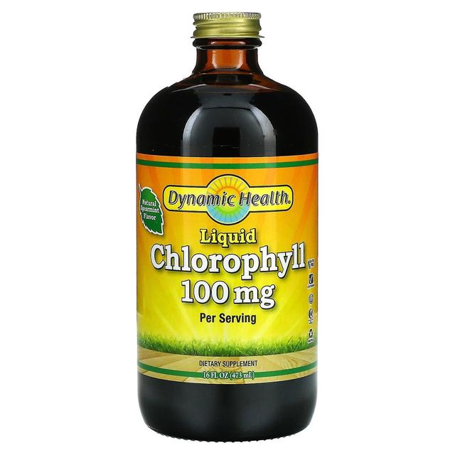 Dynamic Health, Liquid Chlorophyll, Natural Spearmint, 100 mg, 16 fl oz (473 ml) on Productcaster.