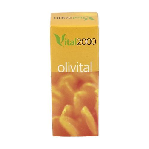 Vital 2000 Olivital No11 jód 40 kapsúl on Productcaster.