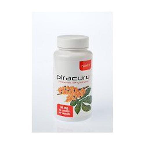 Plantis Guarana Piracuru 60 capsules on Productcaster.