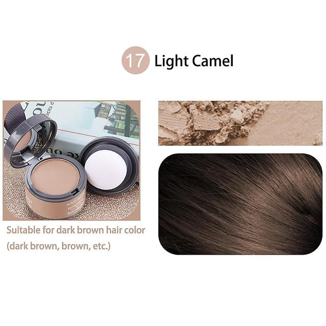 Lequeen Coverage Hair Shadow Repair Hair Filling Powder Forehead Trimming O on Productcaster.