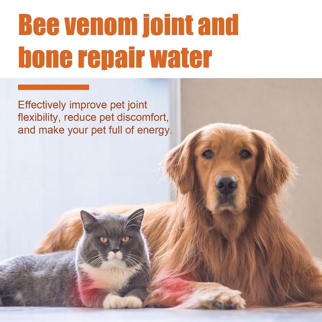 Frusde Pet Bee Venom Oil, Bee Venom Joint And Bone Therapy For Dogs Cats, Pet Bee Venom Joint And Epilepsy Treatment Oil, Relief Joint Pain 1Pcs on Productcaster.