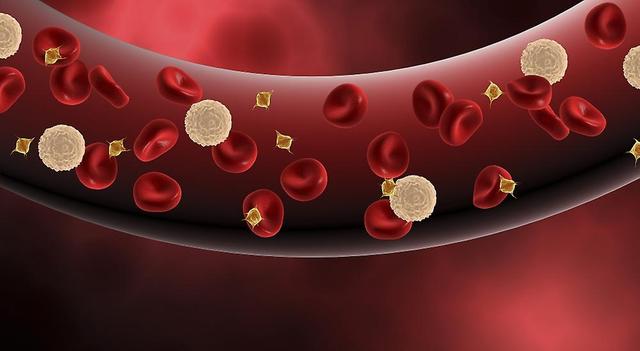 Posterazzi Blood vessel with platelets, white blood cells and red blood cells. Poster 19 X 10 on Productcaster.