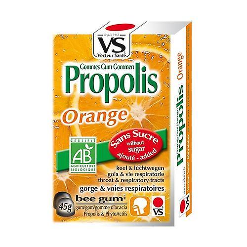 Vecteur Sante Orange Propolis Erasers 45 g (Orange) on Productcaster.