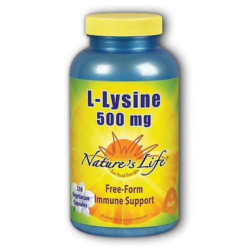 Nature's Life Prírodný život L-lyzín,500 mg,250 čiapky (balenie po 4) on Productcaster.