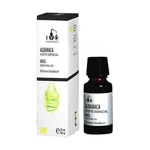 Terpenic Basil Essential Oil 10 ml of essential oil on Productcaster.