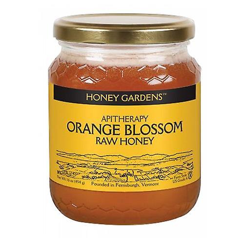 Honey Gardens Raw Honey, Oranjebloesem, 1 lb (Pak van 6) on Productcaster.