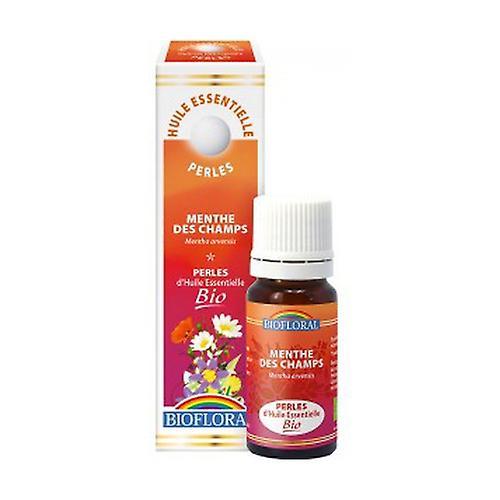 Biofloral Field Mynte Væsentlige perler 240 softgels af 20ml (Mynte) on Productcaster.