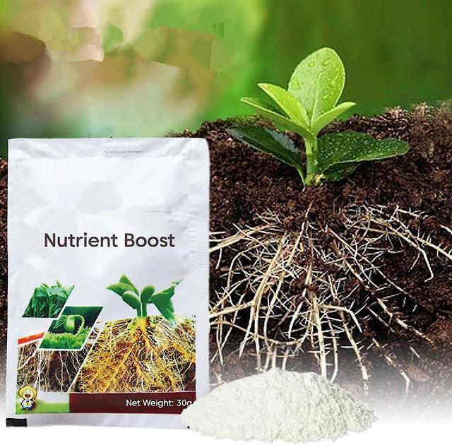 Root Boost Nährstoffpulver, Wurzelhormonpulver, 2 Stück Pflanzenwurzelpulver, starke gesunde Wurzeln yuante on Productcaster.