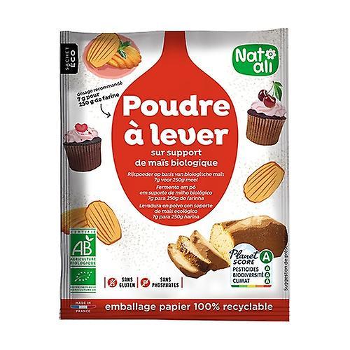 Natali Organic gluten-free cake yeast 50 g of powder on Productcaster.