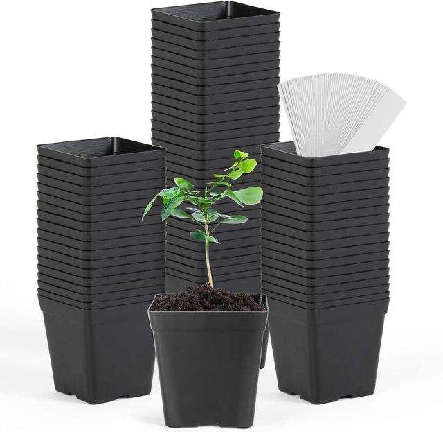 Hgbd-june Fox Square Nursery Pots 3.3 Inches Flexible Plastic Seedling Pots Square Pots For Plants, Succulent, Flower, Pack Of 60, With 60 Pcs Plant L on Productcaster.