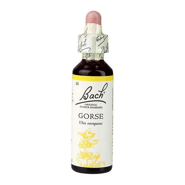 Bach flower remedies gorse on Productcaster.