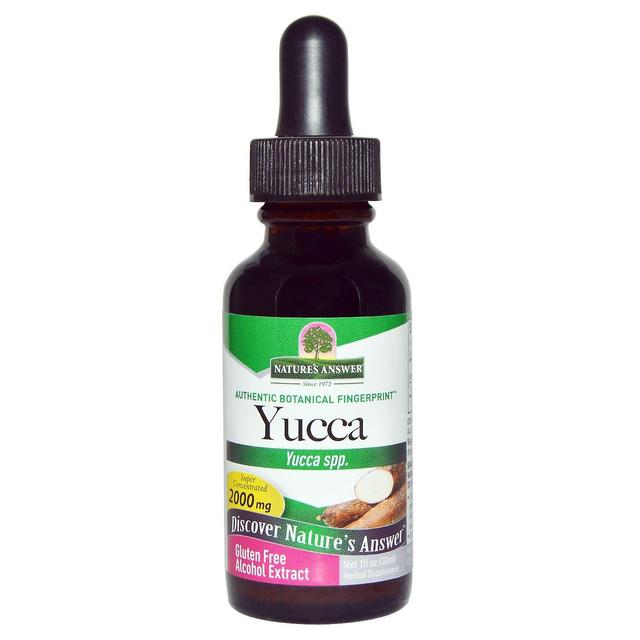 Nature's Answer, Yucca, Alcohol Extract, 2000 mg, 1 fl oz (30 ml) on Productcaster.