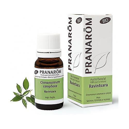 Pranarôm Ravintsara essential oil 10 ml of essential oil on Productcaster.