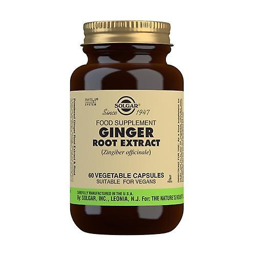 Solgar Ginger Root 60 vegetable capsules on Productcaster.