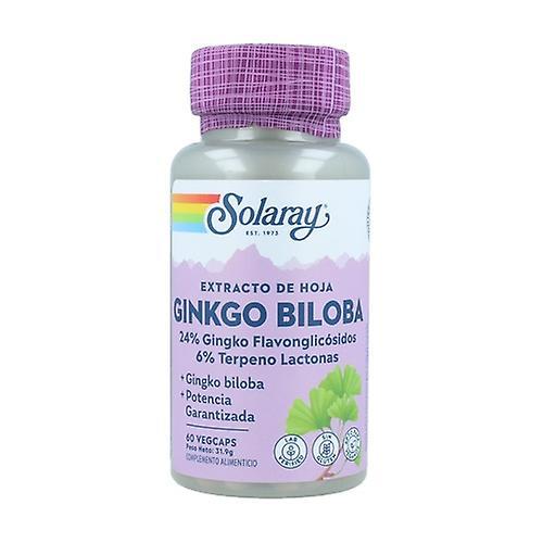 Solaray Ginkgo Biloba 60 rastlinných kapsúl po 60mg on Productcaster.