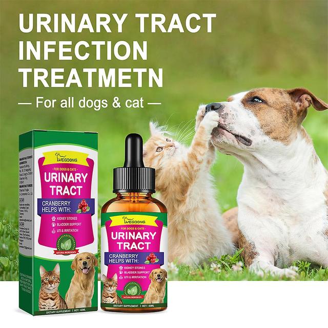 1-3stk Cat & Dog urinvejsinfektion behandling & naturlig UTI medicin, nyre og blære støtte supplement, forebyggelse inkontinens & blære sto 2pcs on Productcaster.