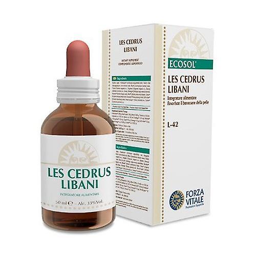 Forza Vitale LES Cedrus Libani 50 ml on Productcaster.