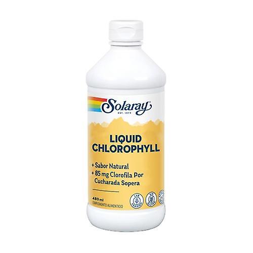 Sunny Green Liquid Chlorophyll 480 ml on Productcaster.