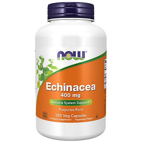 Now Foods Echinacea, 400 mg, 250 Kapseln (Packung mit 2 Stück) on Productcaster.