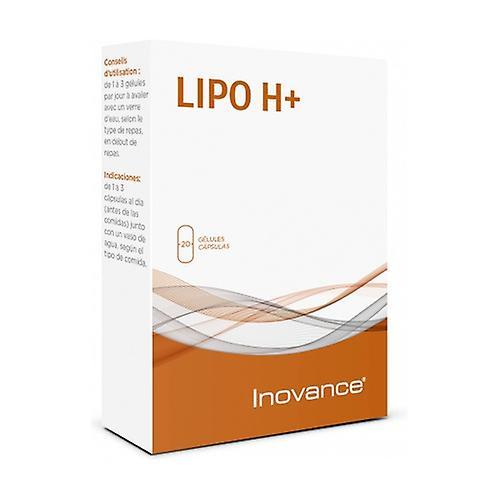 Inovance Lipo h+ weight control 20 capsules on Productcaster.