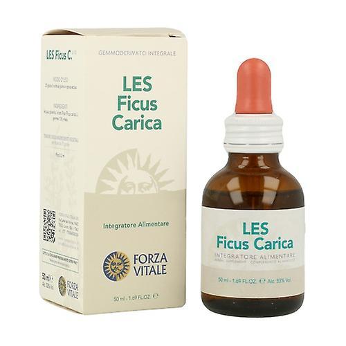 Forza Vitale LES Ficus -lataus 50 ml on Productcaster.