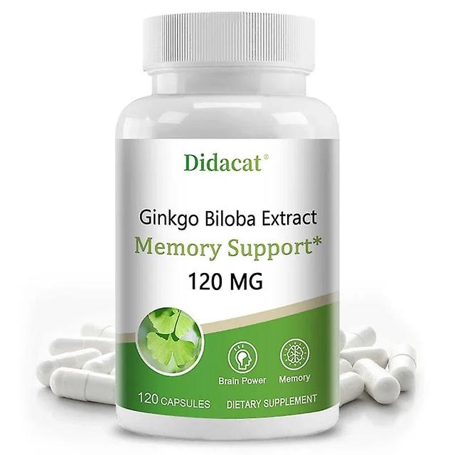 Sofirn Ginkgo Biloba Capsules 120 Mg Memory Support Supplement Supports Brain Function and Mental Alertness 120 count-1 bottle on Productcaster.