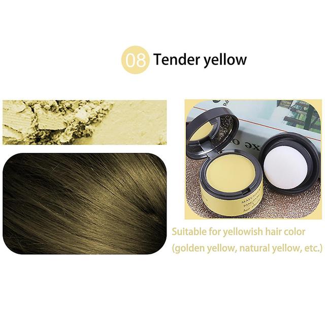 Lequeen Coverage Hair Shadow Repair Hair Filling Powder Forehead Trimming G on Productcaster.