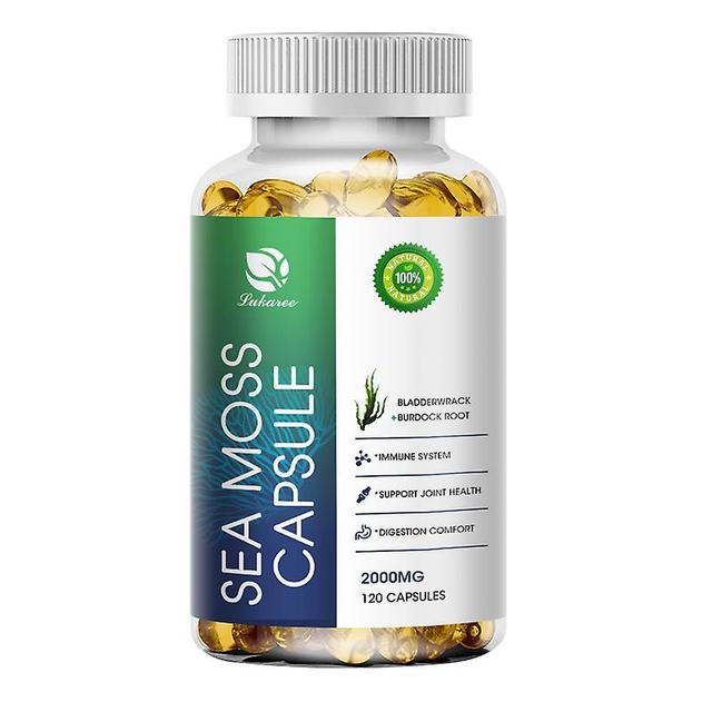 Huamade Ekologisk blåstång Sea Moss Capsule Support Gemensam hud Sköldkörtel hälsa Immunsystemet Tillägg Intestinal rengöring 120pcs on Productcaster.