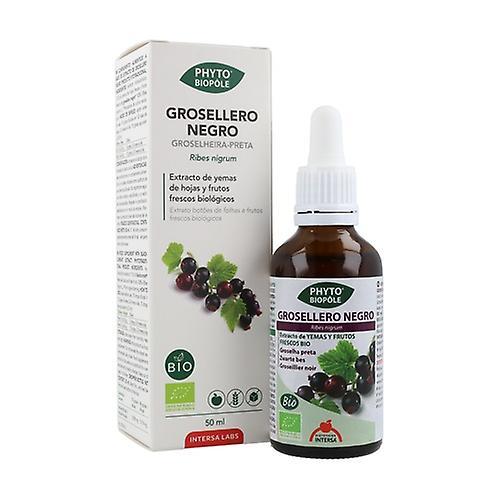 Intersa Phytobiopole Blackcurrant (Vasoprotective Anti-inflammatory) 50 ml on Productcaster.