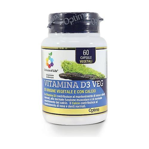 Colours of life Vitamin D3 Veg 60 capsules of 500mg on Productcaster.