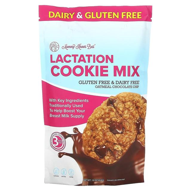 Mommy Knows Best, Lactation Cookie Mix , Oatmeal Chocolate Chip, 16 oz (454 g) on Productcaster.