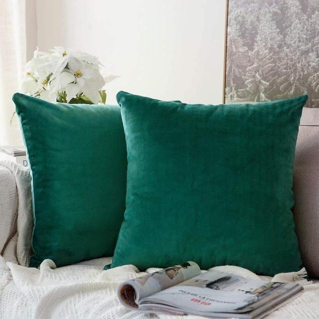 WINNOW Housses de Coussins en Velours Dcoratif Canap Taie d'oreiller Super Lisse Doux Decoration Maison Salon Chambre, 2 Pices 60X60CM Vert Turquoise on Productcaster.