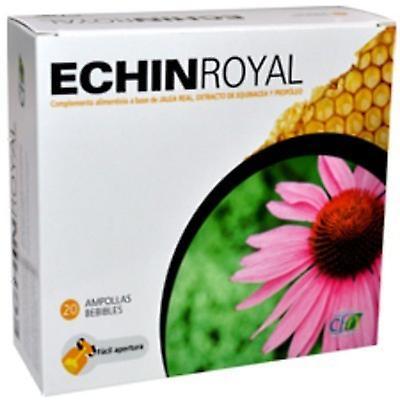 CFN Royal Echin 20 Amp, on Productcaster.