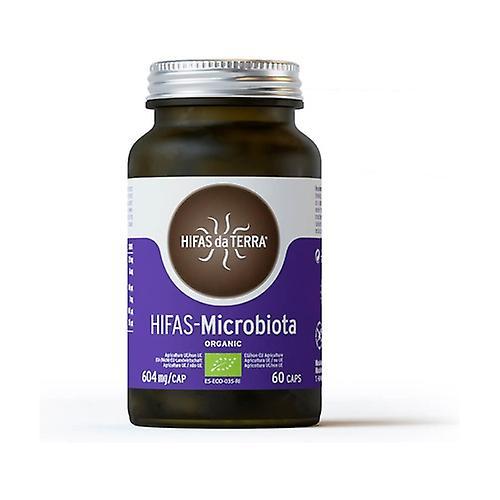 Hifas Da Terra hyphae microbiota 60 vegetable capsules of 604mg on Productcaster.