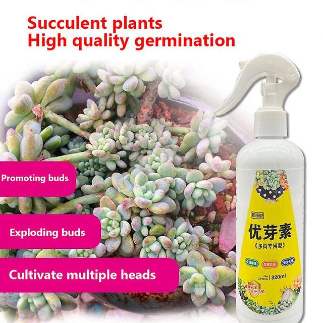 Visgaler Succulent Plant Eugenin Promotes Budding, Dwarf Fat, Prevents Leggy Organic Granules 320ml A1 on Productcaster.