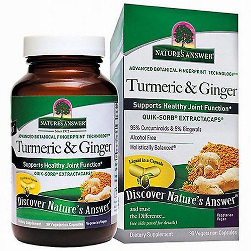 Nature's Answer Turmeric and Ginger, 90 Veg Caps (Pack of 3) on Productcaster.