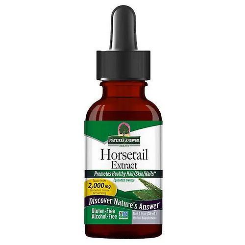 Nature's Answer Horsetail, Alcohol Free Extract 1 FL Oz (Pack of 4) on Productcaster.