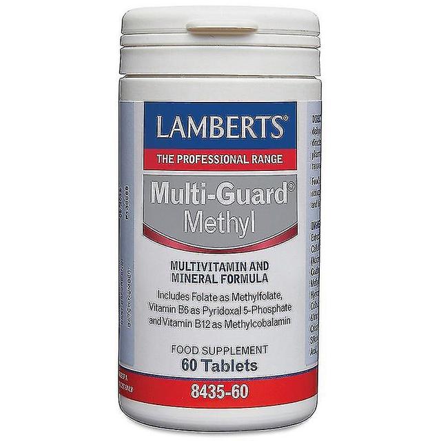 Lamberts Multi-Guard Methyl Tablets 60 (8435-60) on Productcaster.